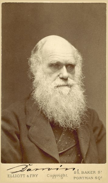 Foto Charles Darwin