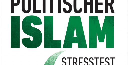 Buchcover «Politischer Islam»